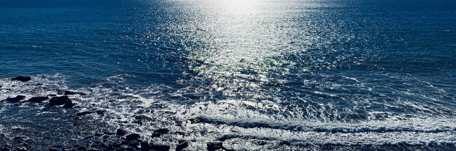 BamSplash's profile banner image