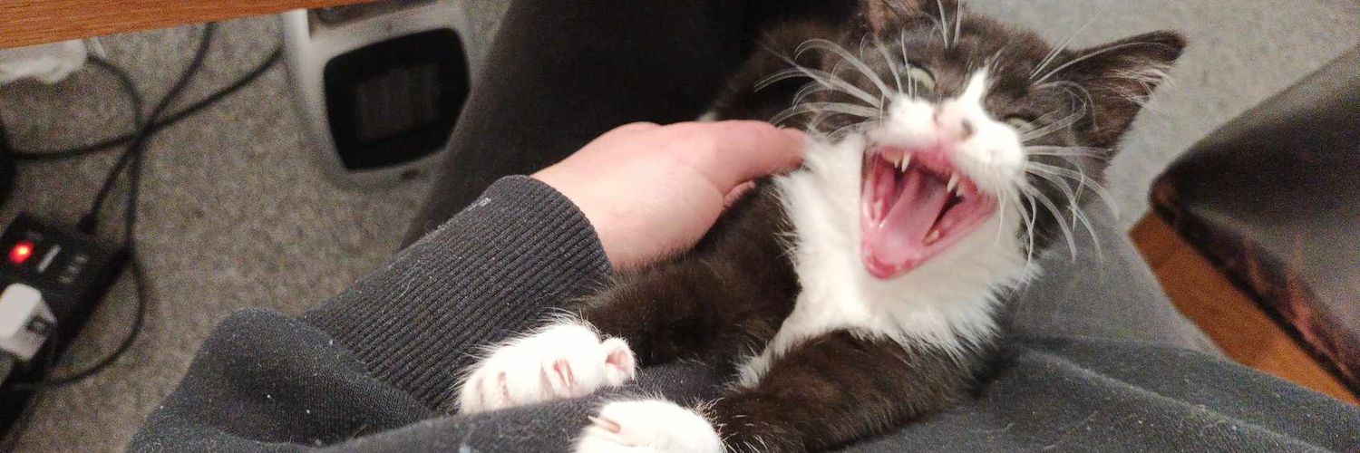 Adam Latchford banner