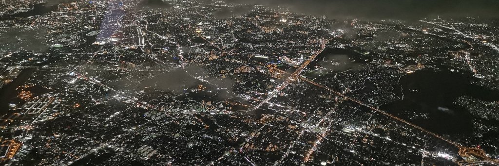 ʸ wolfy™ 🐺ⱽ banner