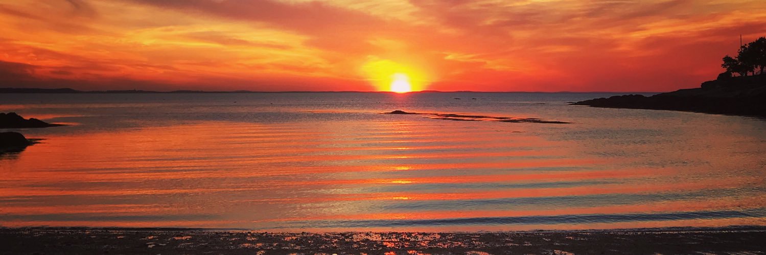 David Saunders✨ banner