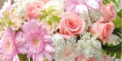 Mary Carmen V banner