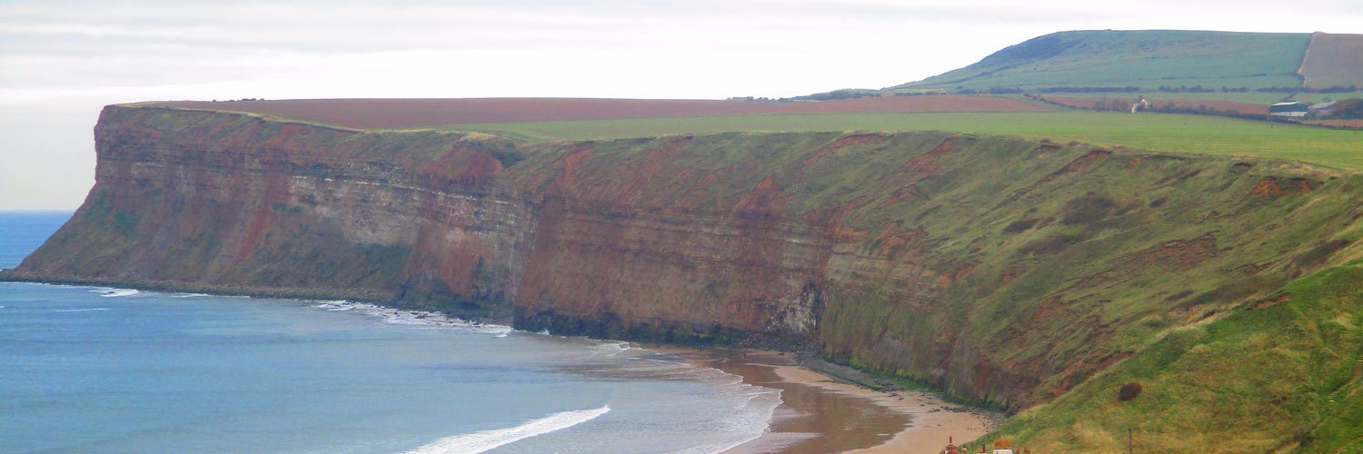 Raphael Doyle banner