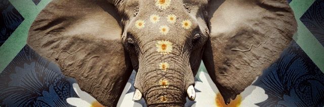 _tharamedina's profile banner image