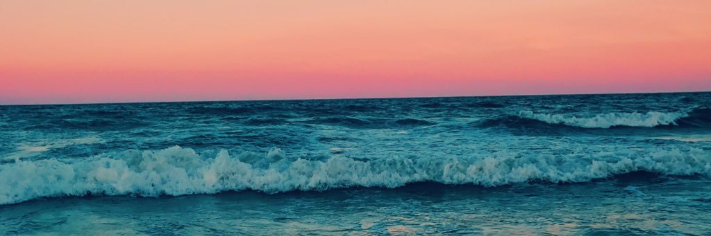 maeflowers_'s profile banner image