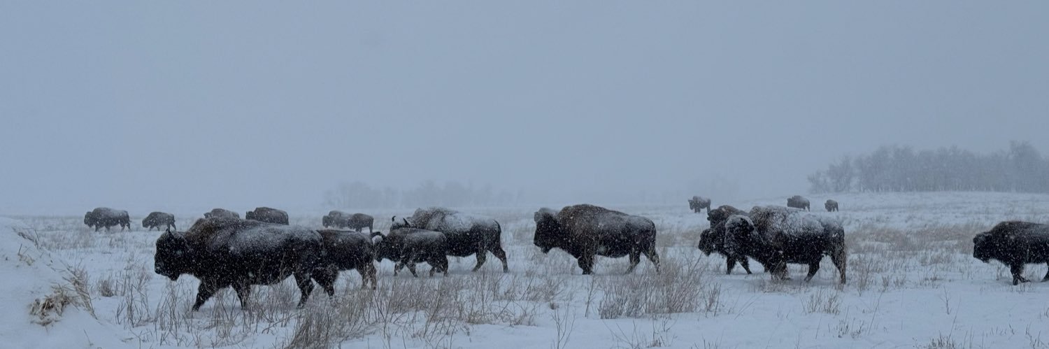 Robert Johnson banner