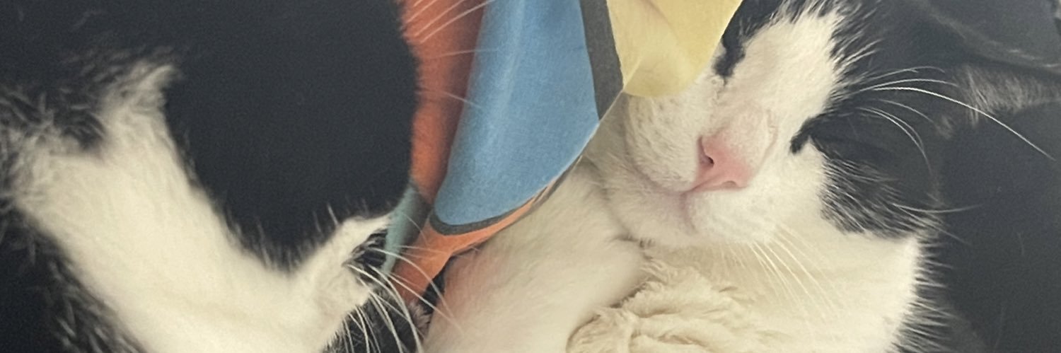 TheKenGuess's profile banner image