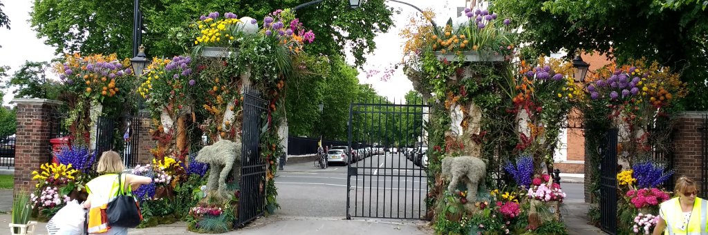 RHS_CHELSEA's profile banner image