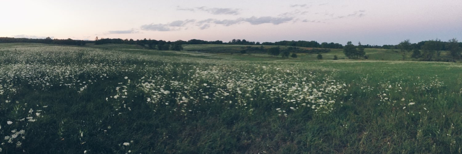 cydneyogan's profile banner image