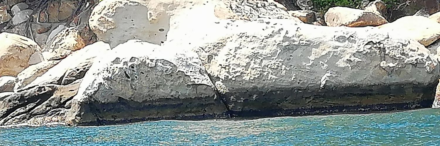 elforasterito10's profile banner image