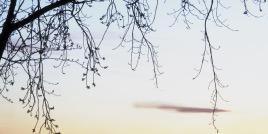 KendallJCAP's profile banner image
