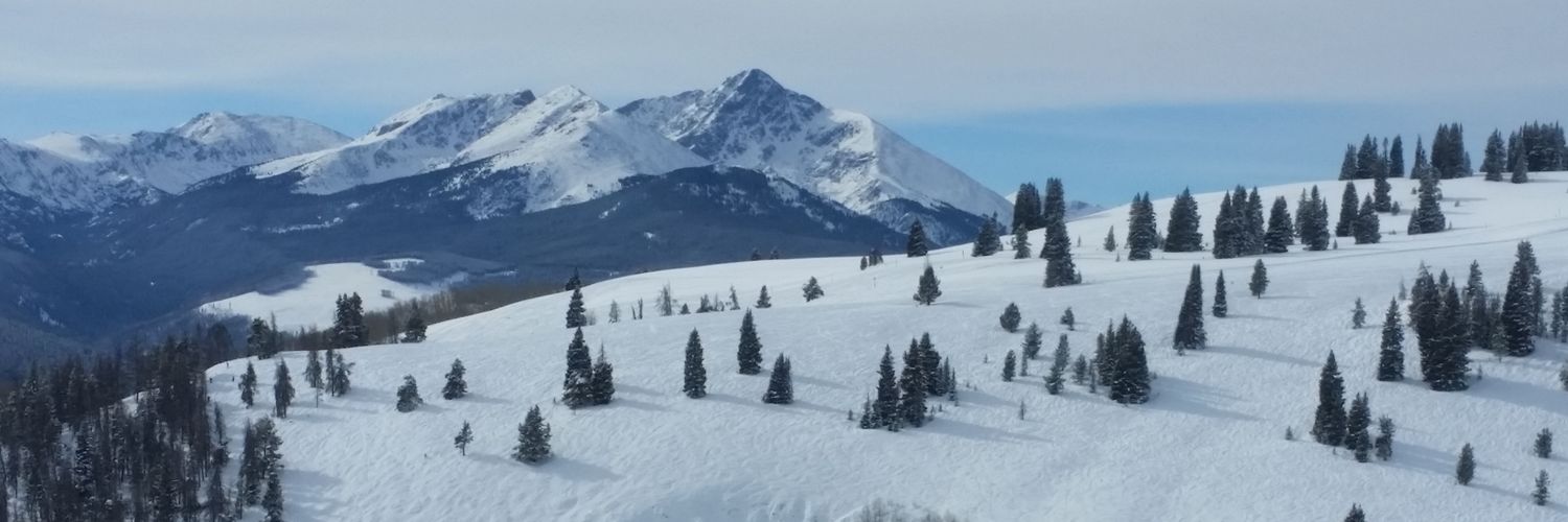 LiamsIsland's profile banner image