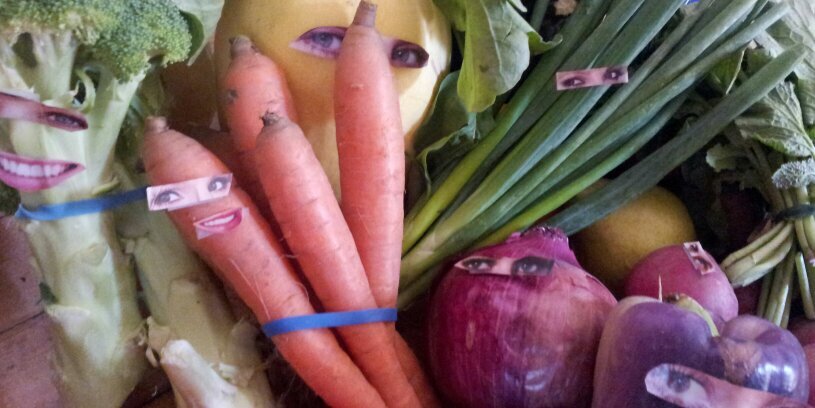 Jennifer Hall banner