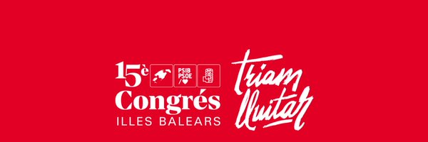 psibpsoe Profile Banner