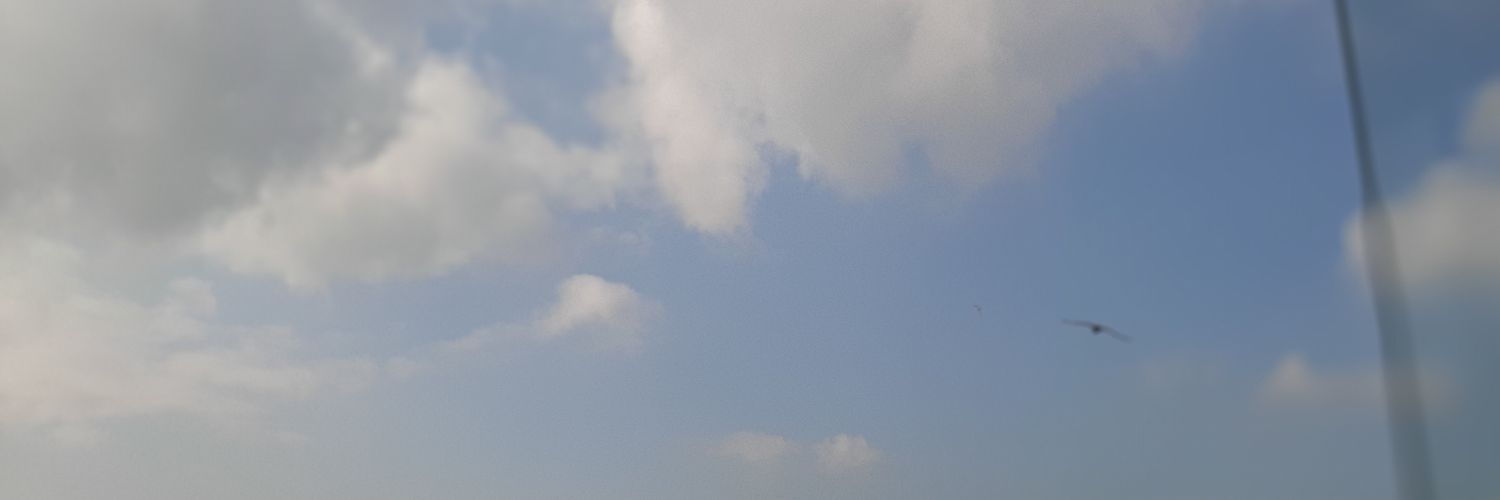 DilekSezek's profile banner image