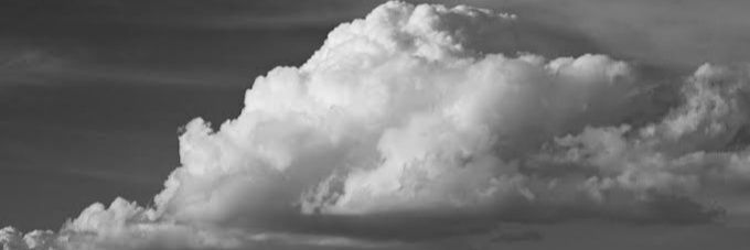SjBrenda's profile banner image