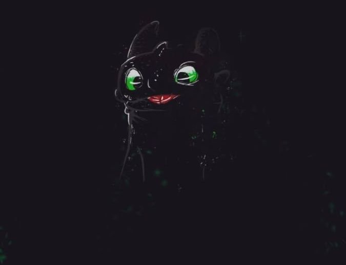 Zulkarnaaeen's profile banner image