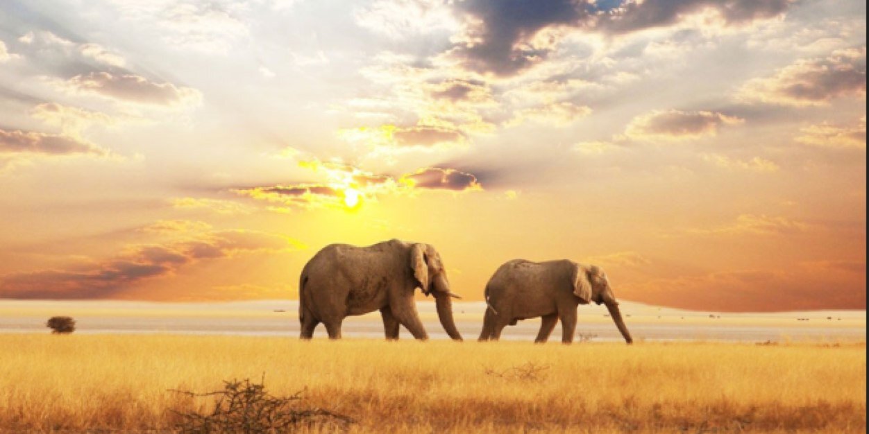 mare_oberg's profile banner image