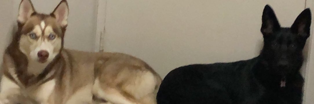 mgallicio's profile banner image