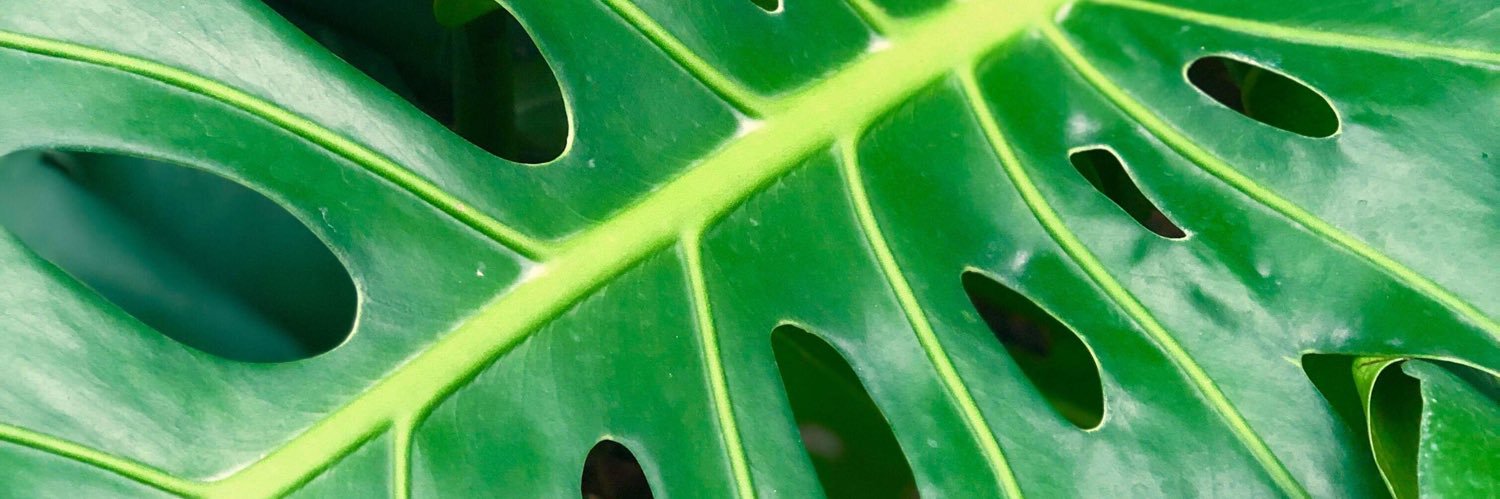ajukes69's profile banner image