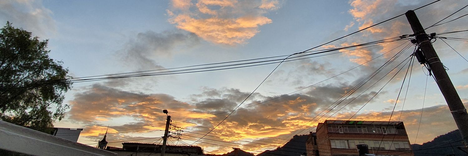 ospardog's profile banner image