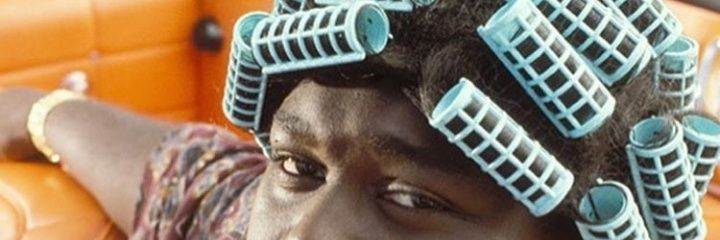 Don Pacino banner