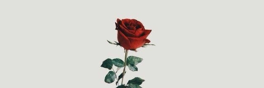 thatadian's profile banner image