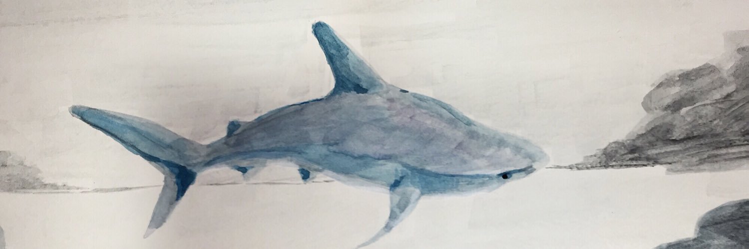 sameko_shark's profile banner image