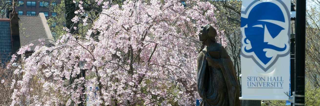 CEHS at Seton Hall banner