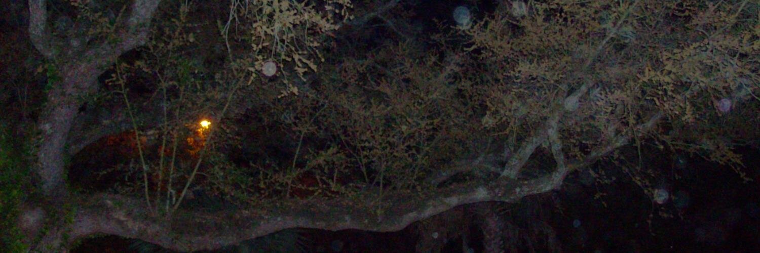 Jason_Chick's profile banner image