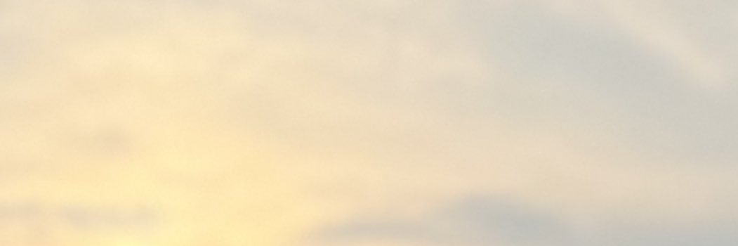 nhisavega's profile banner image