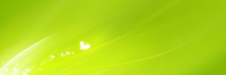 Zeinab_Rifaat's profile banner image