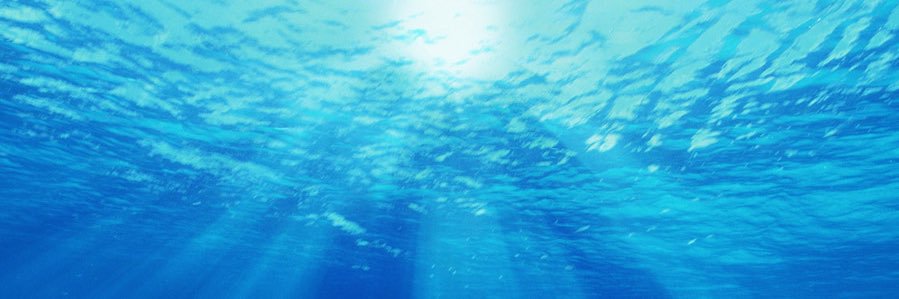 のざわよしのり banner