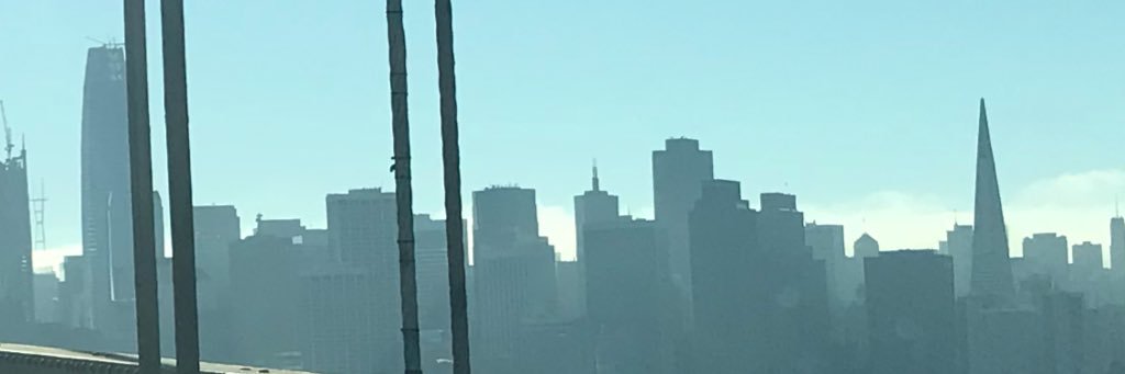 mobrewski's profile banner image