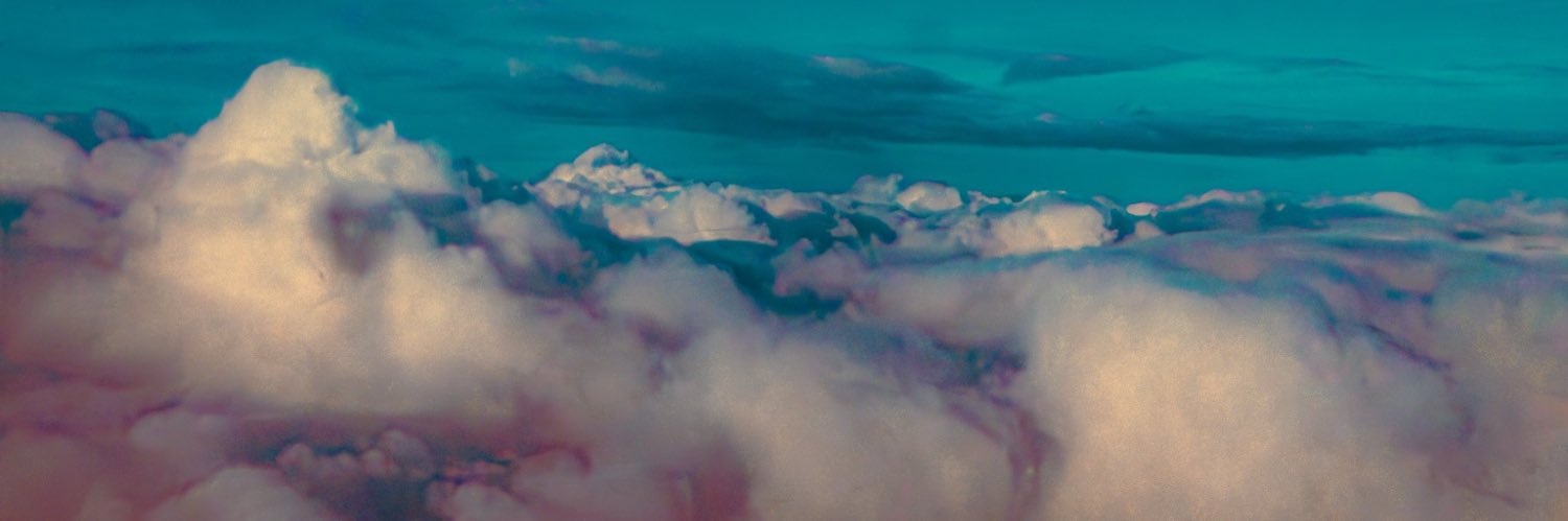 hustletrees's banner