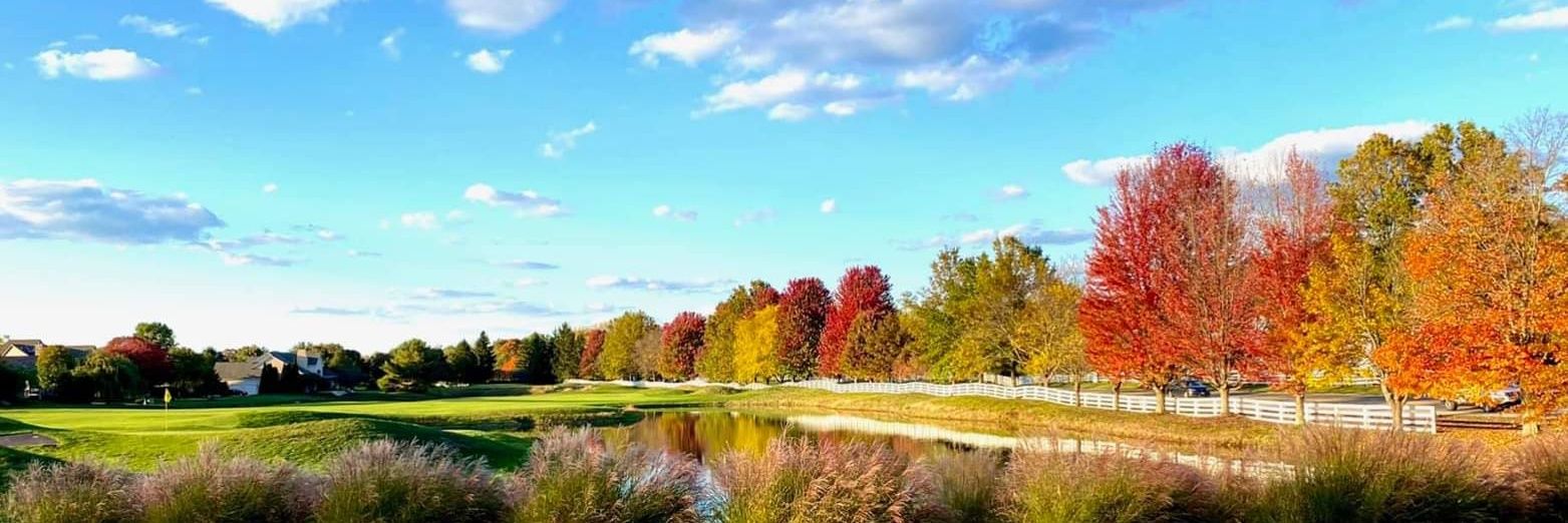 teetime23's profile banner image