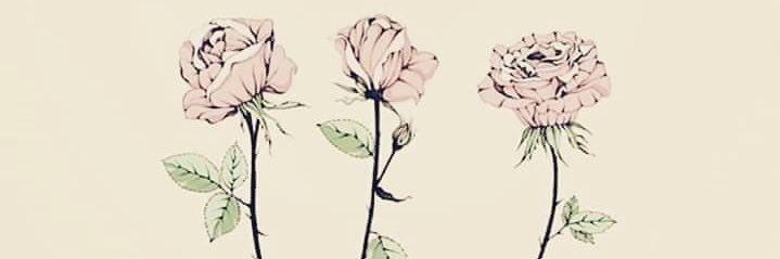 torslore's profile banner image