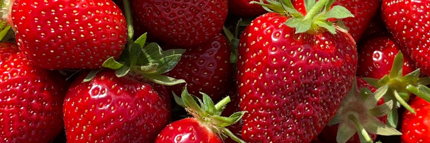 rosnnprql's profile banner image
