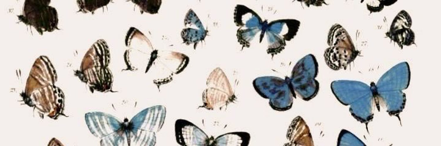 cyndelprado's profile banner image