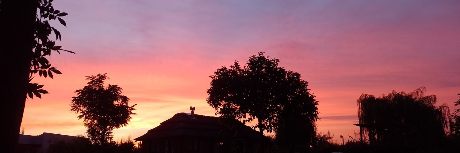 sunset1912's profile banner image