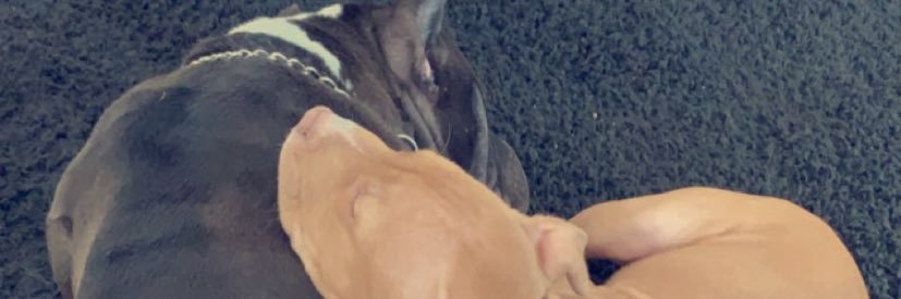 OTCJUSS's profile banner image