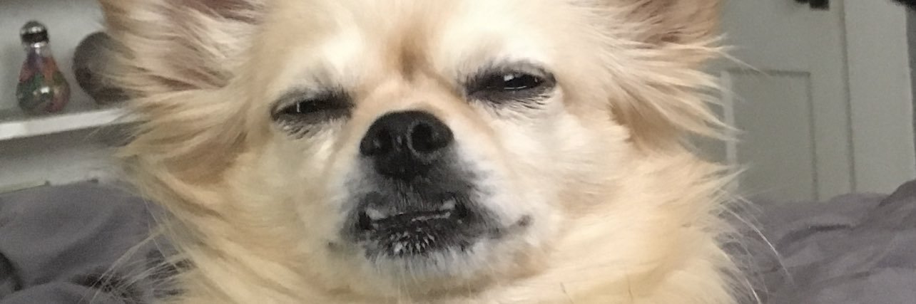 daynaleefaith's profile banner image