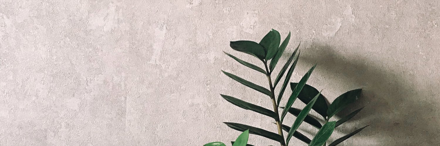 eduardafraanco's profile banner image