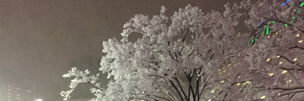 aaaaa8460's profile banner image