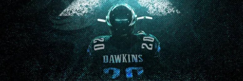 nickvig1's profile banner image