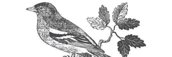 JavaSquip Profile Banner