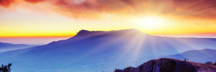 syrine56's profile banner image