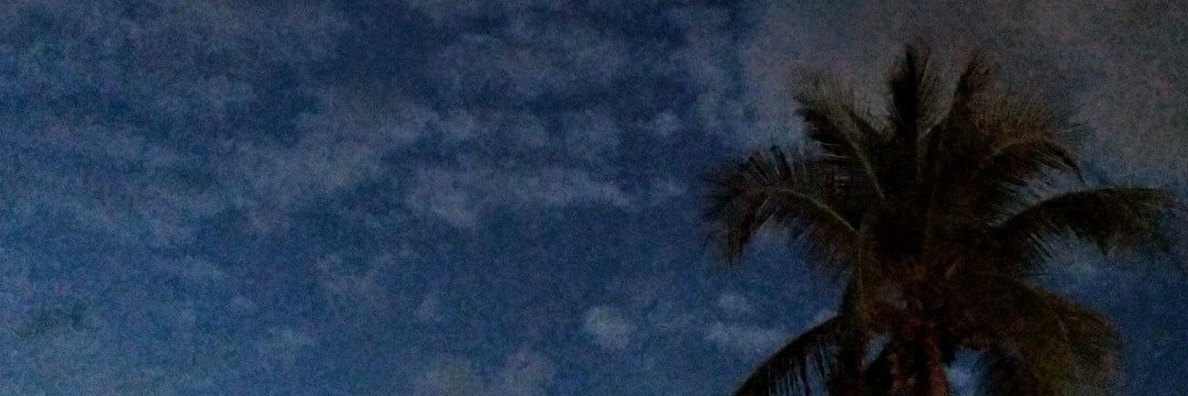 ChicaWatermelon's profile banner image
