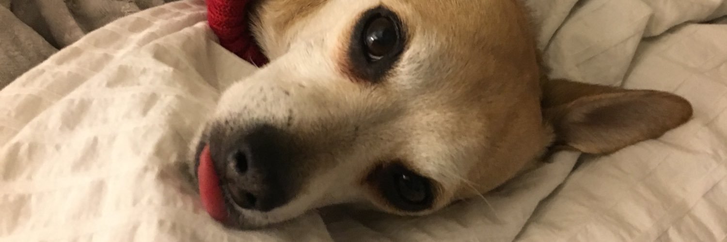 amandaaryan's profile banner image