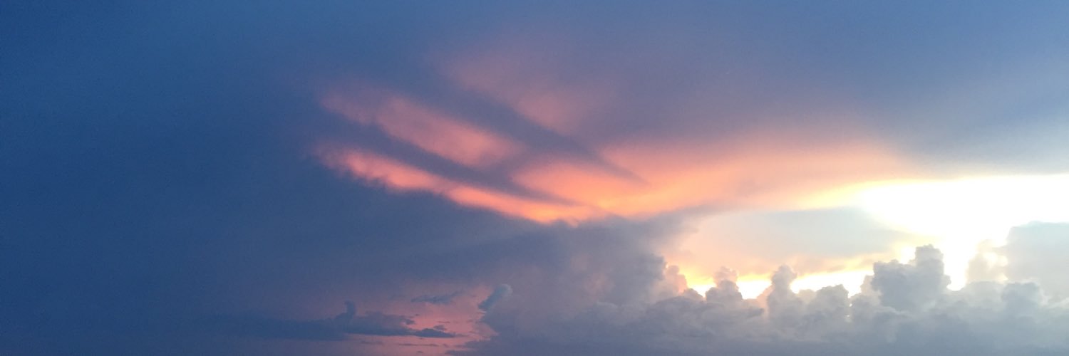 catoncgal's profile banner image