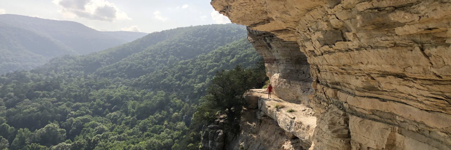 Stephen Burgin banner